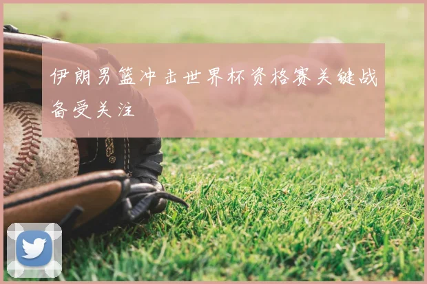 伊朗男篮冲击世界杯资格赛关键战备受关注